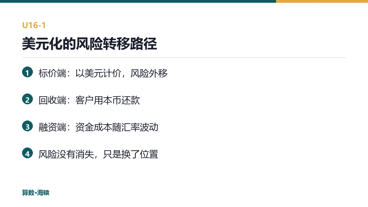 美元化的风险转移路径